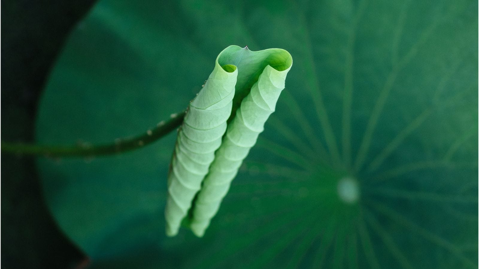 What is My Truth Today?