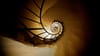 Akashic Records Intensive Courses