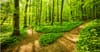 Pathways