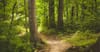 Prepare For Your Akashic Record Reading