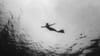How to Begin Your Spiritual Deep Dive?