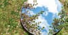 Edge of the Mirror: What is the Pathway of Witness?