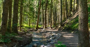 About Cheryl Marlene