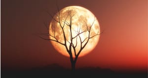 Calendar: Workshops & Classes