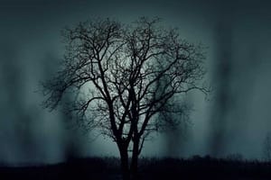 Lessons of Greed