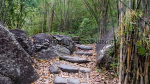 The Integrity of Responsibility