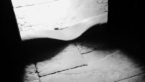 Trusting Yourself at the Threshold of the Akashic Records