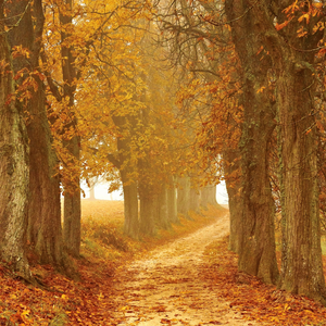 You're Not a Message