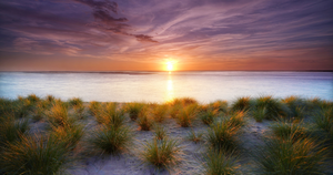 Sacred Curiosity: What is the Pathway of Inquiry?