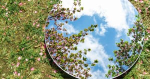 Edge of the Mirror: What is the Pathway of Witness?