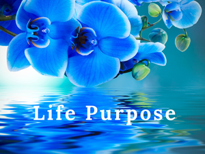 Life Purpose