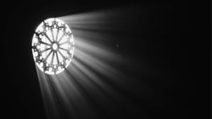 Belonging from Within