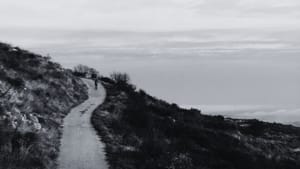 From Control to Trust