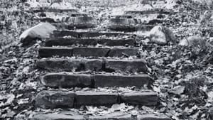 Integration: What Comes After the Revelation