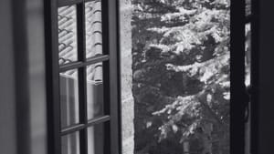 Questions Open Everything