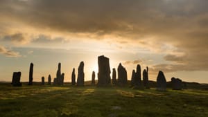 Foundation of a Witness Community