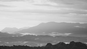 The Power Dynamics of Ambiguity