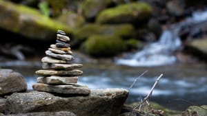 Personal Truth is Not Universal Permission