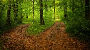 The Art of Being Seen and Seeing Others