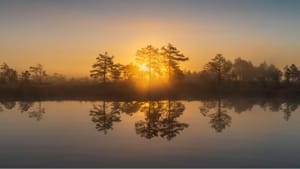 When Presence Becomes the Practice