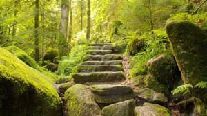 Five Steps of the Spiritual Journey