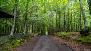 The Journey, Not the Destination