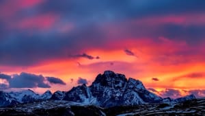 Through The Pause Before What Is