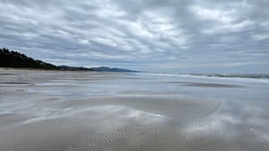 3,818 Miles Back to Me