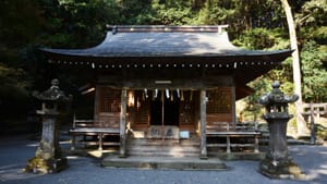 Akashic Records Insights Archive