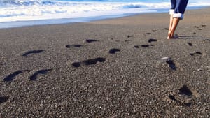 Mentorship with Cheryl