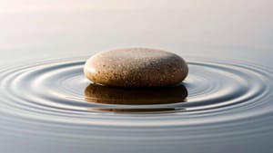 The Witness Community