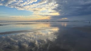 What Makes Me Happy: A Sabbatical Shift